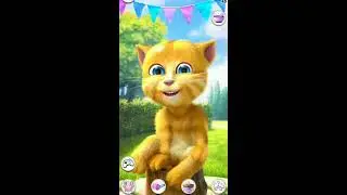 Talking Ginger Live Streaming
