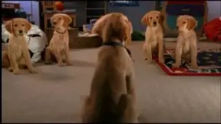 air buddies voice overs
