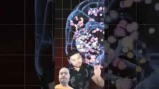 crazy facts about brain #facts #viral #facttachz #shortvideo #factsinhindi #viralfacts