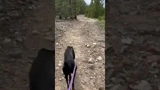 Video of Four Mile Creek Road Dispersed Camping, CO from Mary D.