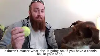 Bed Bug Dog Training