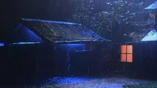 Deep Sleep Rain and Thunder White Noise - 24/7 Live Stream for Ultimate Relaxation