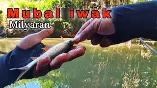 Spot andalan mancing nilem dan kepek