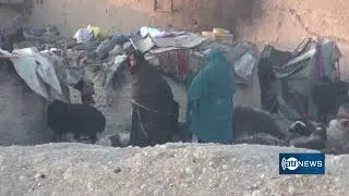 ICRC: Over 55% of Afghans need humanitarian aid| بیش از ۵۵ درصد افغان&zwnj;ها به کمک&zwnj;های بشری نیاز دارند