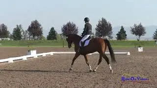 221D Heidi West on Pearl District Novice Rider Championship Dressage AEC August 2022