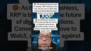 Why small XRP bags needs structure and secured Storage.