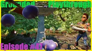 Grounded: Episode 47 - Berry hunt.