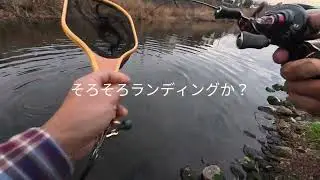 袖巻き君スピナーとGANHOOKでチャビングやってみた！2025年12月21日だった！