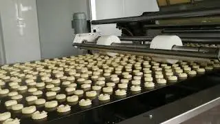 Butter Cookies Production Line Wire Cut Deposit,Rotary Moulder