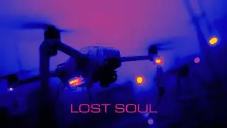 Lost Soul &ndash; The Athene Noctua (Under the Black Moon)