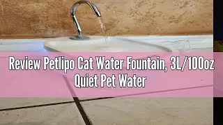 Review Petlipo Cat Water Fountain, 3L/100oz Quiet Pet Water Fountains for Cats Indoor, Water Level A