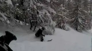 Sortie dans les bois a Hochgurgl