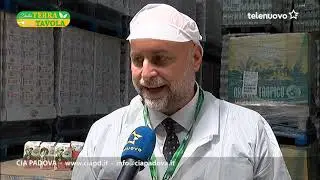 Lo zuccherificio di Pontelongo, patrimonio da salvare