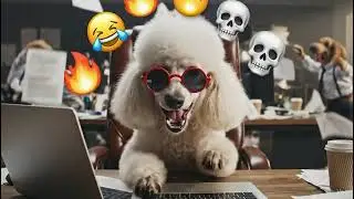 Dogs Panicking at Work 😂 | Relatable Office Chaos