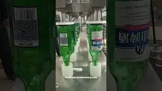Beer Bottles Rinser Machine Washing Machine made from Tiantai beer equipment company
