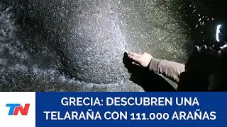 IMPACTANTE: Descubren una telara&ntilde;a gigante con 111.000 ara&ntilde;as en una gruta de Grecia