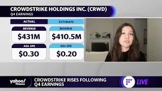 Crowdstrike stock rises after beating earnings expectations