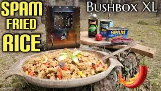 Cooking Fiery Spam Fried Rice in the Forest | Bushbox XL woodstove | Quick an Easy Camping meal