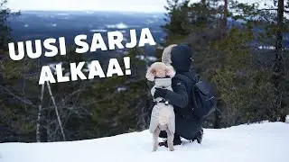 Suomi Lemmikin Silmin – Koli