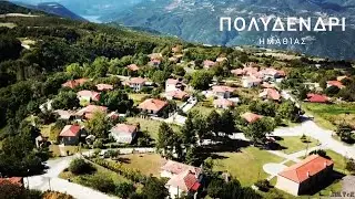 ΠΟΛΥΔΕΝΔΡΙ ΗΜΑΘΙΑΣ |ΚΑΘΗΜΕΡΙΝΕΣ ΑΠΟΔΡΑΣΕΙΣ®