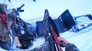 ВТОРОЙ ДЕНЬ ПОИСКА СОБАКИ. ОЧЕНЬ ТРУДНО РАСПУТАТЬ СЛЕД ВОЛКОВ. 3 серия