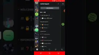 Duckie Support Server Review