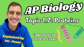 1.7 Proteins - AP Biology (Updated 2025-2026)