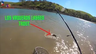 Double planting Lassen and DFG trout at Los Vaqueros.