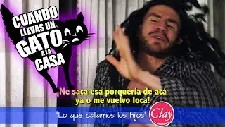 TU MAM&Aacute;, CUANDO LLEVAS UN GATITO A LA CASA | Lo que Callamos los hijos