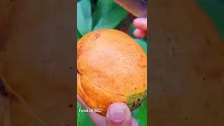 Fresh Beautiful Juicy Mango Cutting Process #mango #viral #shorts #reels #viralvideo #trending