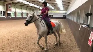 Jane Emery Dressage to Music Take 2