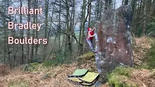 Brilliant Bradley Boulders - Superb Sixes