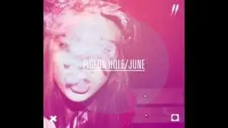 Pigeon Hole - June