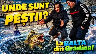 Am dezăpezit balta din grădină și am încercat să vă arătăm peștii din ea ! 