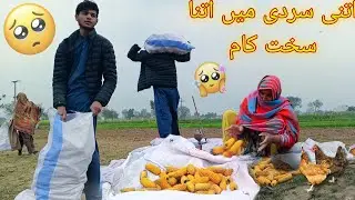 So much hard work in such bitter cold//🥶 rawal family vlogs 🤗❤️