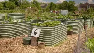 St Andrew's Community Garden