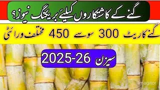 Sugacane different varieties rates updates/sugacane support price in Punjab 2025-26/