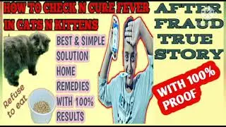 cat sickness sign & symptoms/common diseases in cats/sick cat symptoms remedies