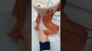 Neck model - Muscles