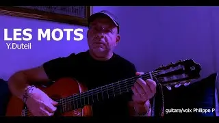 LES MOTS   Y. Duteil  (guitare/voix Philippe P)
