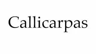How to Pronounce Callicarpas