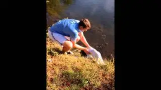 Ashley & I save a heron