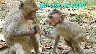 What Happen Poor Orphan Baby Dustin?Janet Reject BB Dustin Don't Steal Janet Food