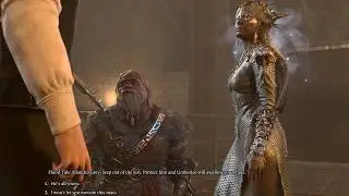 Выбор между Амберли и Редхаммером &mdash; Baldur's Gate 3