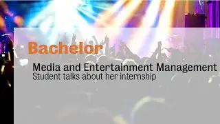 Bachelor programme Media and Entertainment Management at Inholland University - Internship
