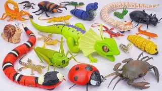 ZURU ROBO ALIVE COLLECTION | Robo Huge Lizard, Robo Snake, Laybug Compilation | ASMR
