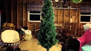 The Incredulous Mystery of the Kinetic Christmas Pine