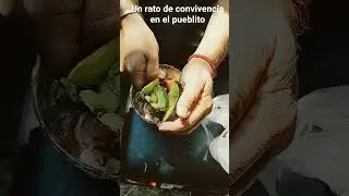 cocktail estilo Veracruz con salsa bruja