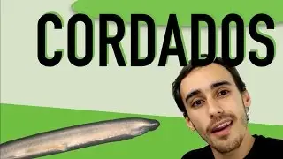 Zoologia - Introdução aos Cordados
