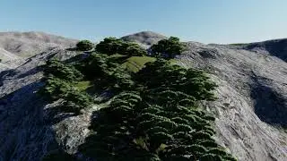 ROYALTY FREE | FLYING OVER TREES  CLIP  |  4K/60 FPS